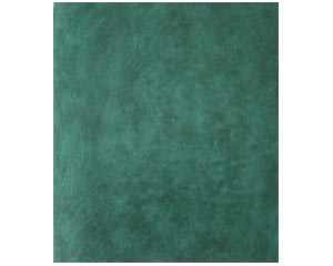Klade standarta 48lpp, 165*205mm, lniju, lederna vks